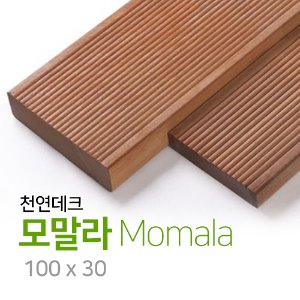 모말라 100x30(1m²)
